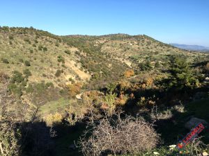 Çamtepe Göleti ve Sulaması İşi-CAMTEPE-GOLETI-1